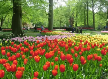 Netherlands christian vacations_Sonas Christian Holidays